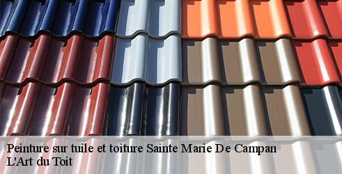 peinture-sur-tuile-et-toiture-l-art-du-toit-7