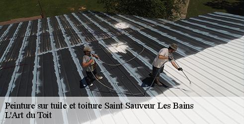 peinture-sur-tuile-et-toiture-l-art-du-toit-1