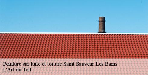 peinture-sur-tuile-et-toiture-l-art-du-toit-10