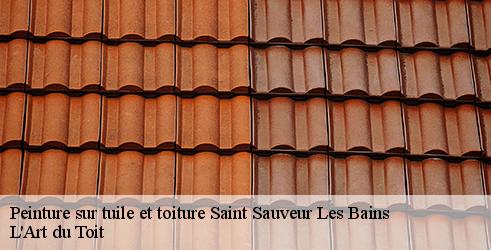 peinture-sur-tuile-et-toiture-l-art-du-toit-4