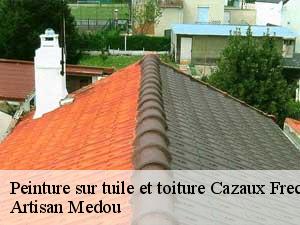peinture-sur-tuile-et-toiture-artisan-medou-7