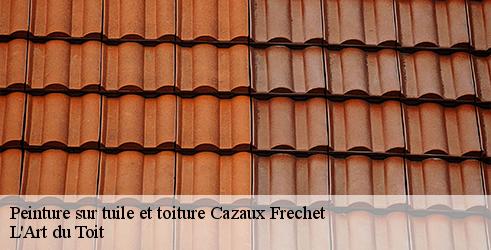 peinture-sur-tuile-et-toiture-l-art-du-toit-4