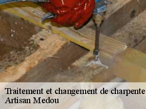 Traitement et changement de charpente  ade-65100 Artisan Medou