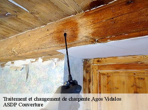 traitement-et-changement-de-charpente-asdp-couverture-4