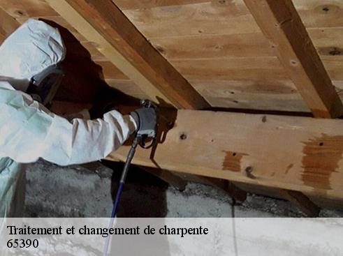 Traitement et changement de charpente  65390