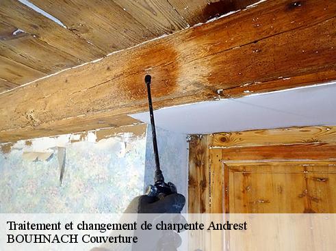 Traitement et changement de charpente  65390