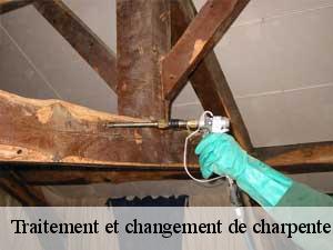 Traitement et changement de charpente  65390