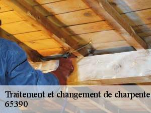 Traitement et changement de charpente  65390