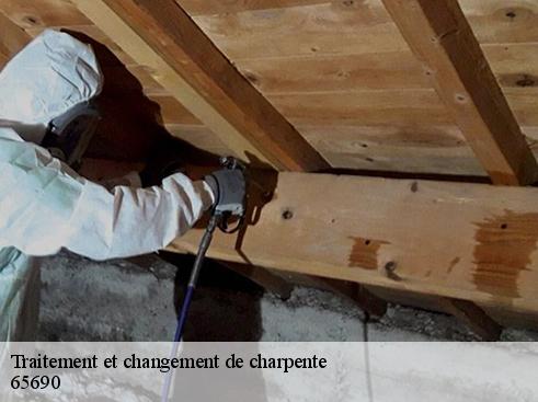 Traitement et changement de charpente  65690