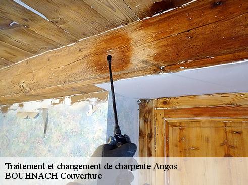 Traitement et changement de charpente  65690