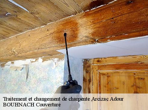 Traitement et changement de charpente  65360