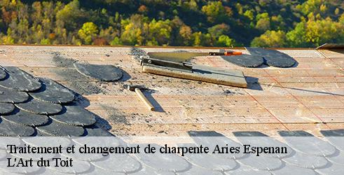 traitement-et-changement-de-charpente-l-art-du-toit-1