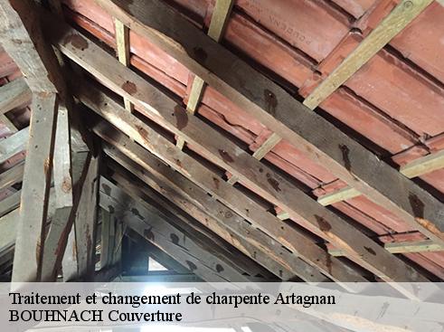 Traitement et changement de charpente  artagnan-65500 Artisan Medou