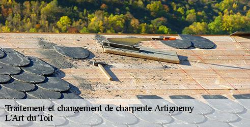 traitement-et-changement-de-charpente-l-art-du-toit-1