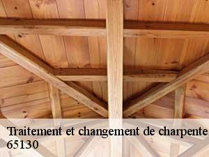 Traitement et changement de charpente