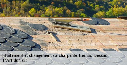 traitement-et-changement-de-charpente-l-art-du-toit-1
