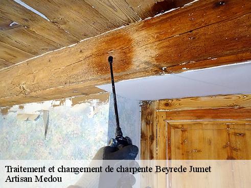 traitement-et-changement-de-charpente-artisan-medou-4