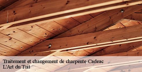 traitement-et-changement-de-charpente-l-art-du-toit-7