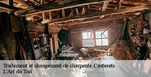 traitement-et-changement-de-charpente-l-art-du-toit-4