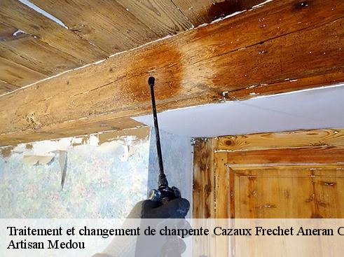traitement-et-changement-de-charpente-artisan-medou-4
