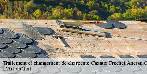 traitement-et-changement-de-charpente-l-art-du-toit-1