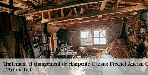 traitement-et-changement-de-charpente-l-art-du-toit-4