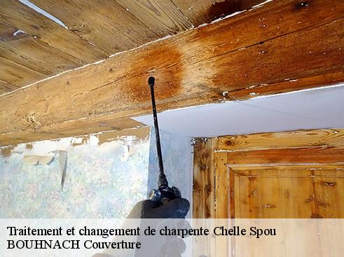 Traitement et changement de charpente  65130