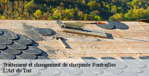 traitement-et-changement-de-charpente-l-art-du-toit-1