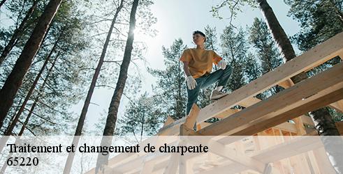 traitement-et-changement-de-charpente-l-art-du-toit-2