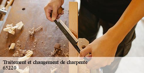 traitement-et-changement-de-charpente-l-art-du-toit-8