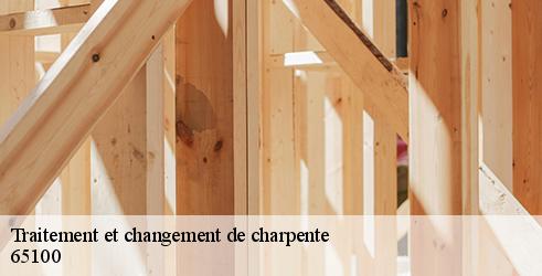 traitement-et-changement-de-charpente-l-art-du-toit-5
