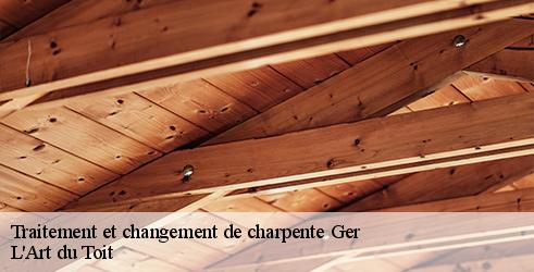 traitement-et-changement-de-charpente-l-art-du-toit-7