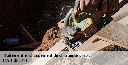 traitement-et-changement-de-charpente-l-art-du-toit-10