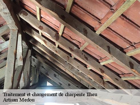 traitement-et-changement-de-charpente-artisan-medou-1
