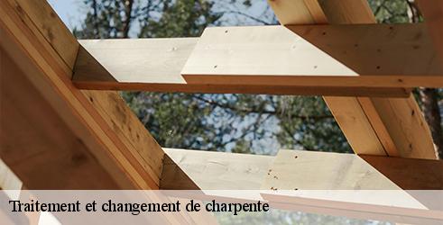 traitement-et-changement-de-charpente-l-art-du-toit-3