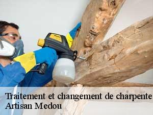 traitement-et-changement-de-charpente-artisan-medou-7