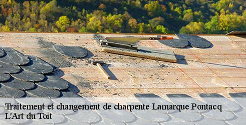 traitement-et-changement-de-charpente-l-art-du-toit-1