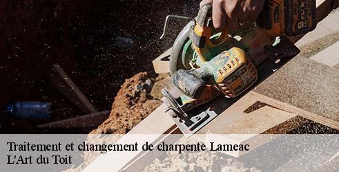 traitement-et-changement-de-charpente-l-art-du-toit-10