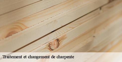 traitement-et-changement-de-charpente-l-art-du-toit-6