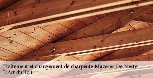 traitement-et-changement-de-charpente-l-art-du-toit-7