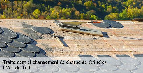traitement-et-changement-de-charpente-l-art-du-toit-1