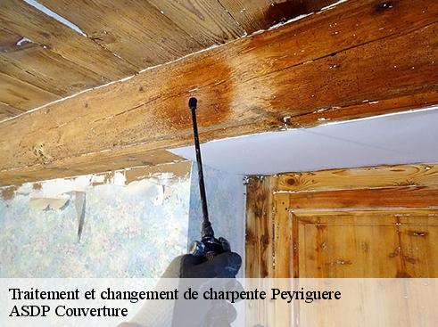 traitement-et-changement-de-charpente-asdp-couverture-4