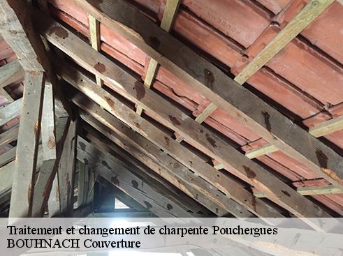 Traitement et changement de charpente  pouchergues-65240 Artisan Medou