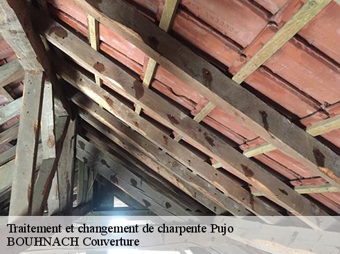 Traitement et changement de charpente pujo-65500 BOUHNACH Couverture