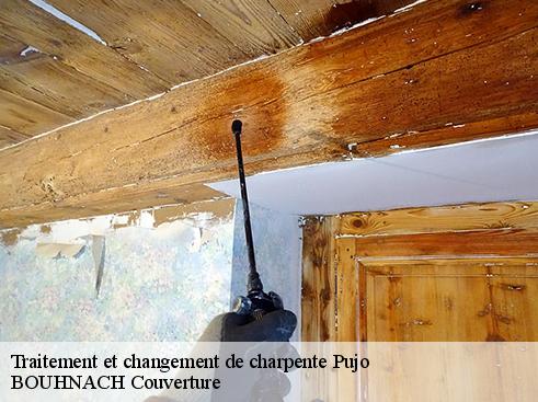 Traitement et changement de charpente pujo-65500 BOUHNACH Couverture