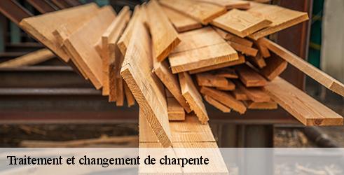 traitement-et-changement-de-charpente-l-art-du-toit-9
