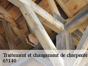 Traitement et changement de charpente  65140