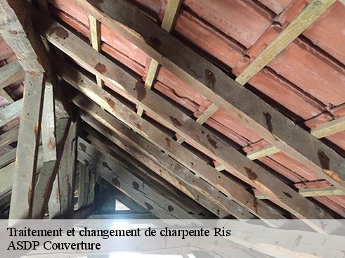 traitement-et-changement-de-charpente-asdp-couverture-1