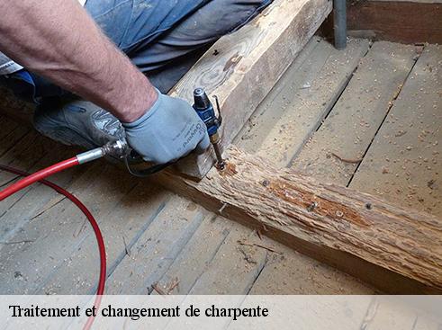 Traitement et changement de charpente