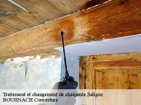 Traitement et changement de charpente  65120